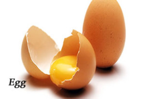 eggs we sell